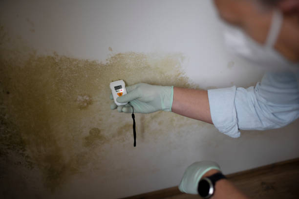 Best Crawl Space Mold Removal  in Village Green Green Ridge, PA